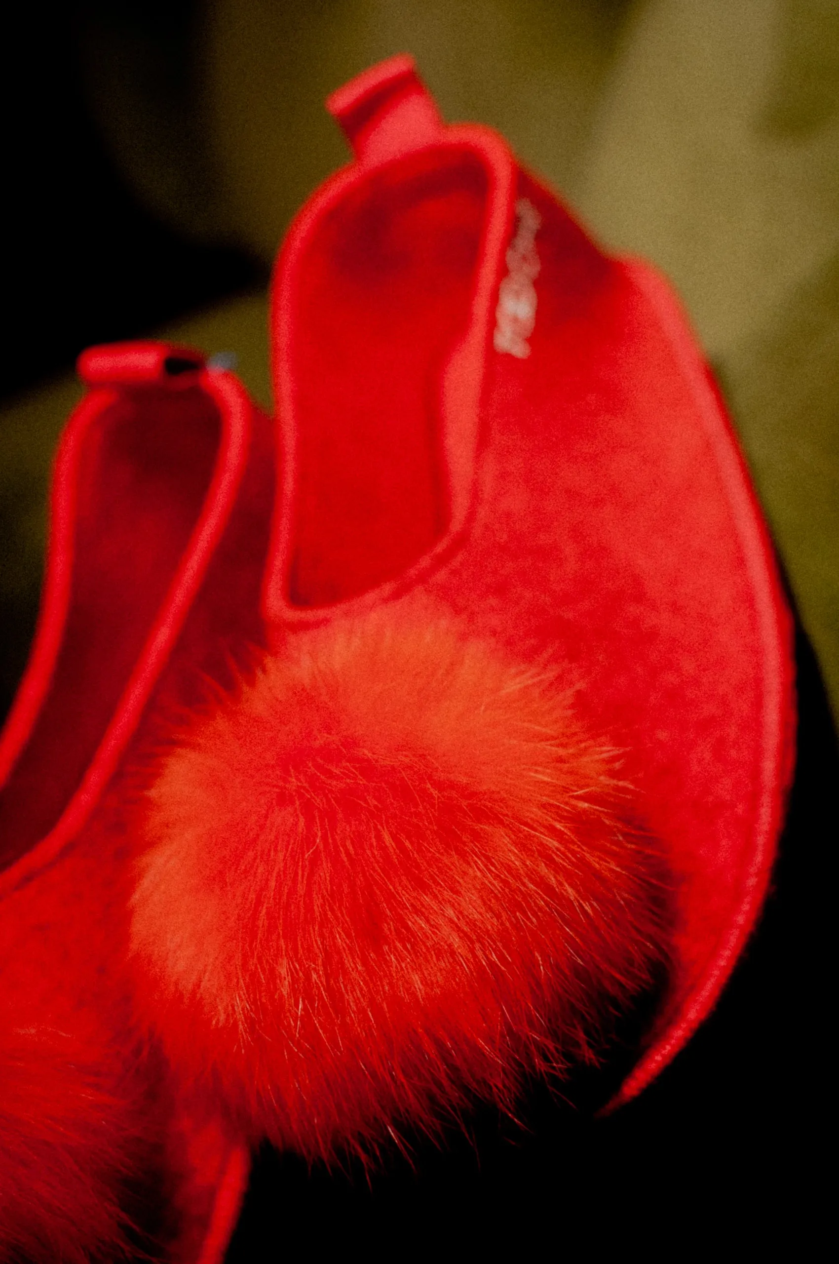 CORAL slippers