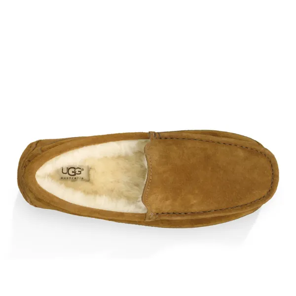 UGG Men's Ascot Slipper Chestnut